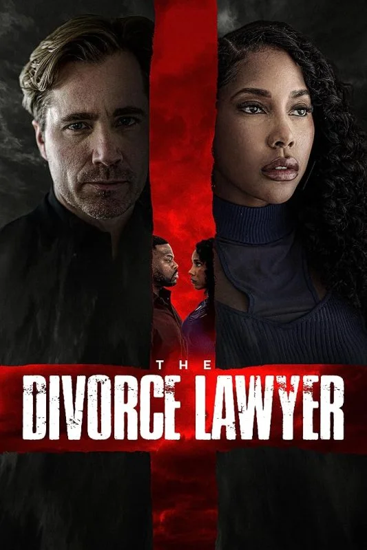 فيلم The Divorce Lawyer ( 2025 ) مترجم
