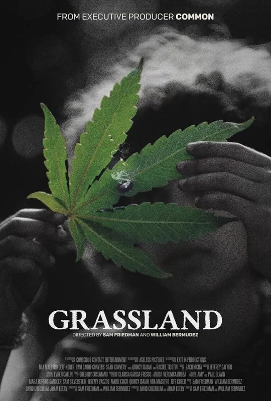 فيلم Grassland ( 2024 ) مترجم