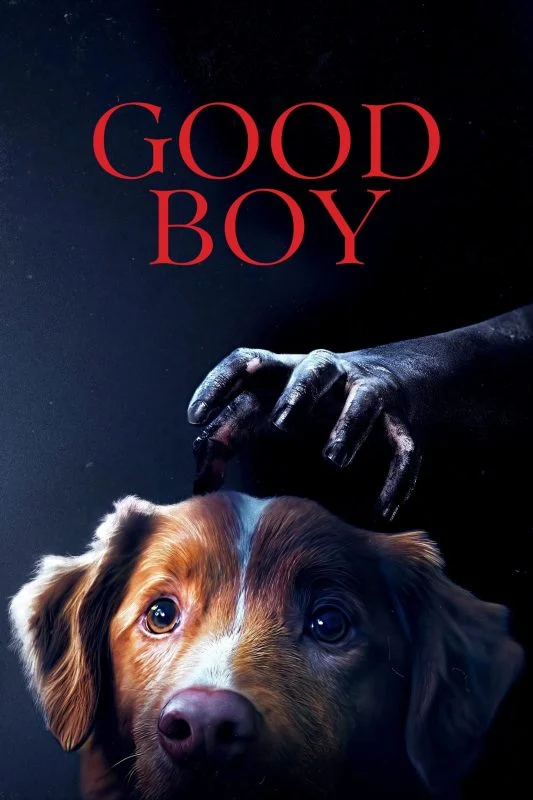 فيلم Good Boy ( 2025 ) مترجم