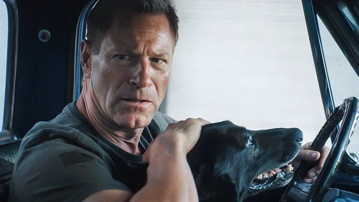 فيلم Muzzle City of Wolves ( 2025 ) مترجم