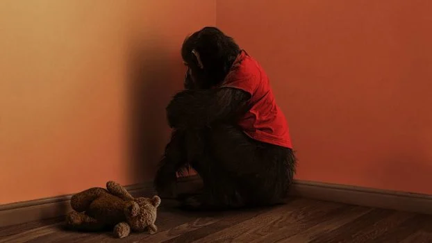 فيلم Primate ( 2025 ) مترجم