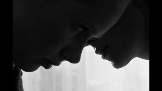 فيلم The Arborist ( 2025 ) مترجم