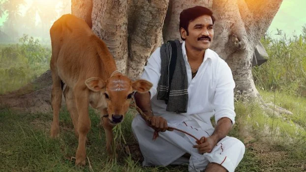 فيلم Idli Kadai 2025 مترجم